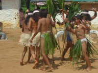 /album/centro-etnoeducativo-no-3-sede-aujero/p1020615-jpg/